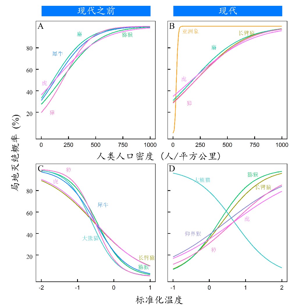 图2：11种哺乳动物对人为干扰和气候变化的响应。局地灭绝概率与平均人口密度（A：现代之前；B：现代）和标准化平均夏季温度（C：现代之前； D：现代）的关系。